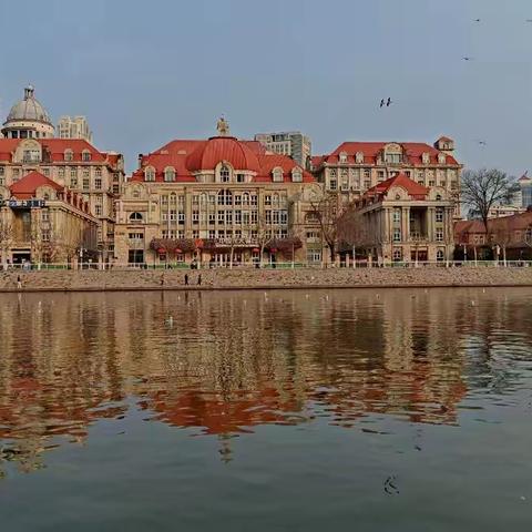 初春河畔：城市与自然的温柔相拥