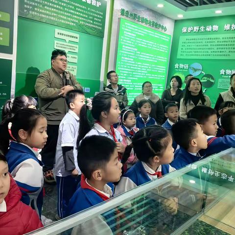 小手护野趣，同心建家园——芒市一小331班雏鹰活动智慧星组实践活动纪实