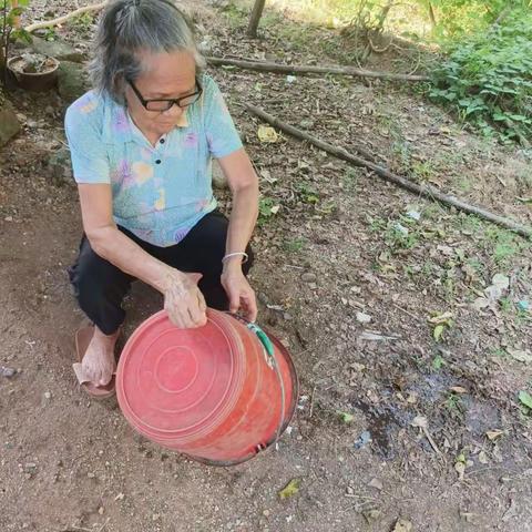 锦丰村开展防蚊灭蚊、预防登革热活动