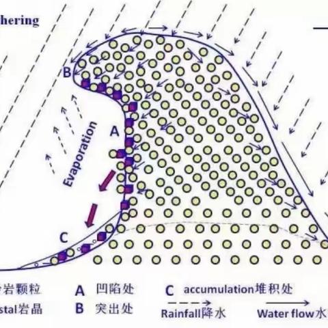 c2组研学分享