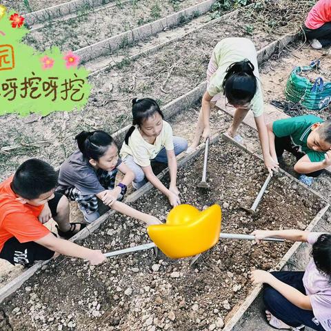 一草一木皆风景，一班一事均育人 ——三（1）班责任田种植小记 1