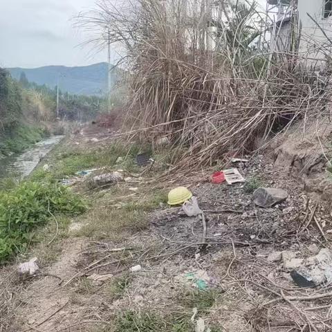 大田镇短草村开展人居环境卫生整治