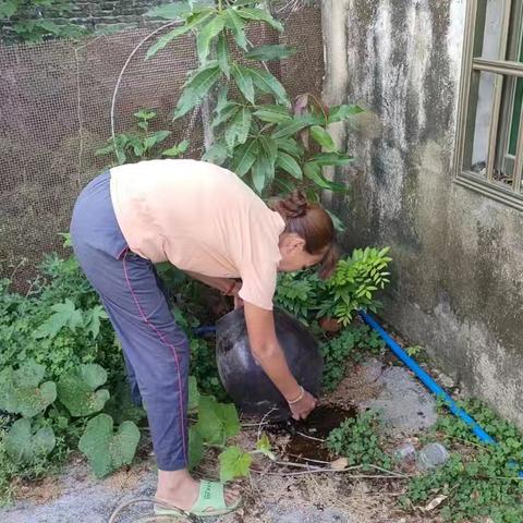 短草村开展“清洁家园 防蚊灭蚊”夏秋季爱国卫生百日专项行动