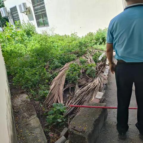 短草村开展“清洁家园 防蚊灭蚊”夏秋季爱国卫生百日专项行动