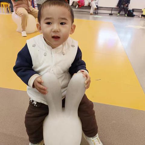 坦克成长记（十八）2024年12月17日至2025年1月16日