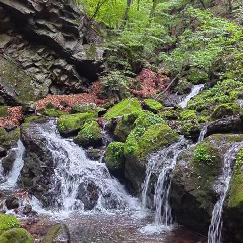 枫锦文旅独家线路纯自然原生态美景胜地将和您一起开启枫叶之旅！
