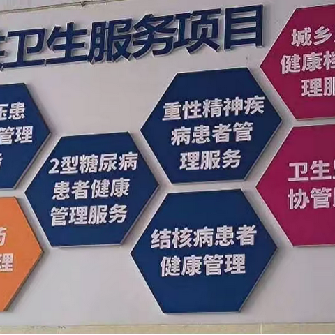 用心服务、有爱相助、公共卫生铸就健康之路——张潘镇卫生院开展国家基本公共卫生宣传