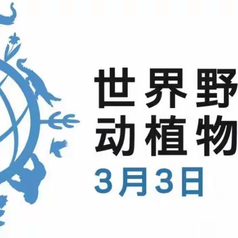 武安市林业局开展“世界野生动植物日”宣传活动