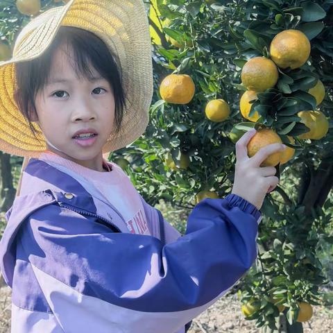 阳光里的童年碎片