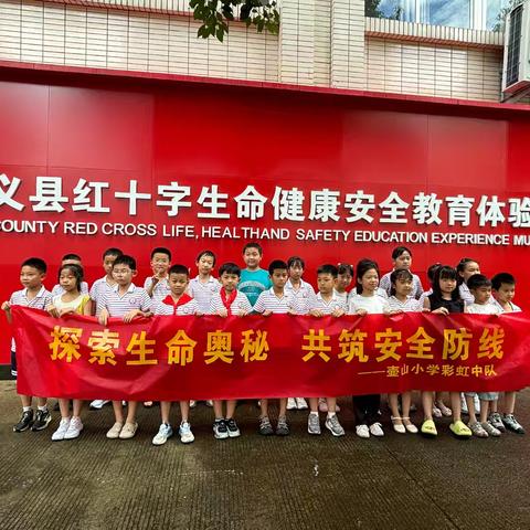 探索生命奥秘，共筑安全防线——壶小三（11）班暑期社会实践红十字生命健康安全体验