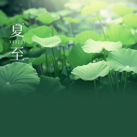 来吧，展示！——复兴小学教师练字打卡活动纪实