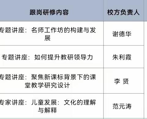 精准施训建设工作室，赋能提升教研领导力