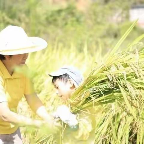 【亲子营】期中结束，等你“稻”来！