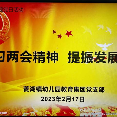 学习两会精神 提振发展动力———菱湖镇幼儿园党支部2月份主题党日活动