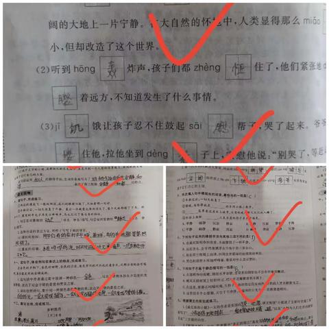 【杨兰】暑期有路勤为径——南翟营小学五年级一班