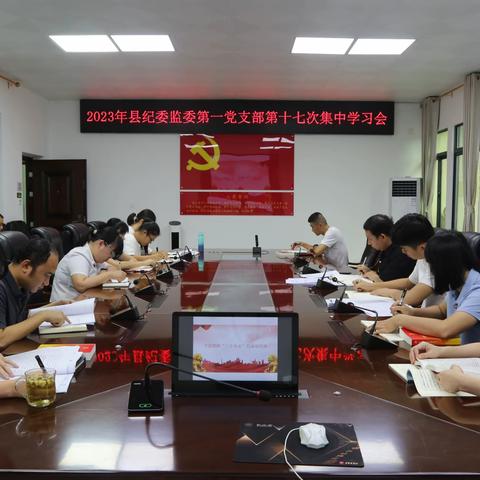 县纪委监委第一党支部召开第十七次集中学习会