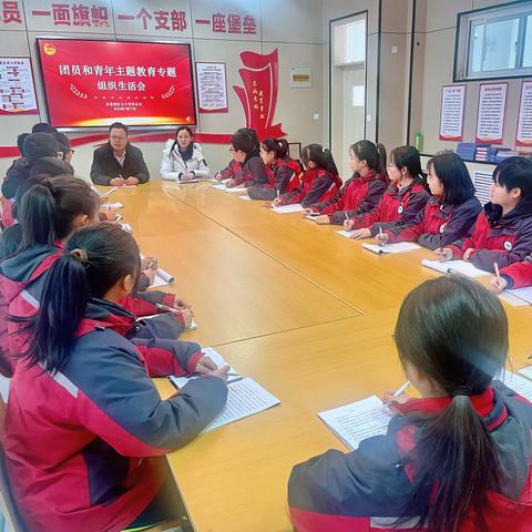 团员和青年主题教育专题组织 生活会