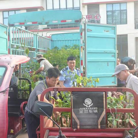 本号镇开展橡胶良种良法种植补贴宣传