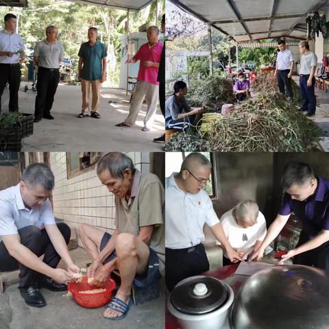 毛路村：党建引领  接力凝心  跑出乡村振兴加速度