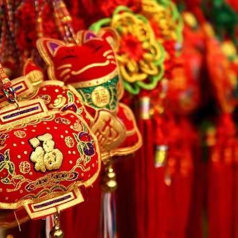 颍东区春蕾幼儿园逛年会，过大年啦！