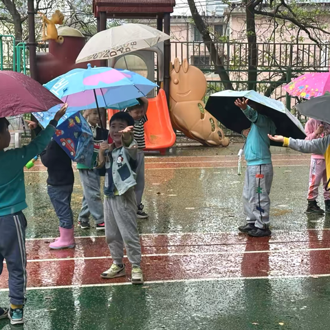 “雨”你趣玩——春雨里的自然探究之旅