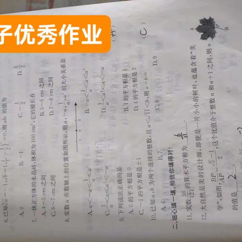 用户11694021的简篇