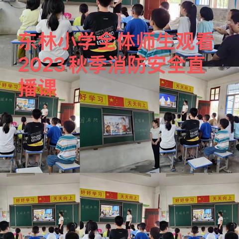 寨河镇东林小学消防安全活动总结