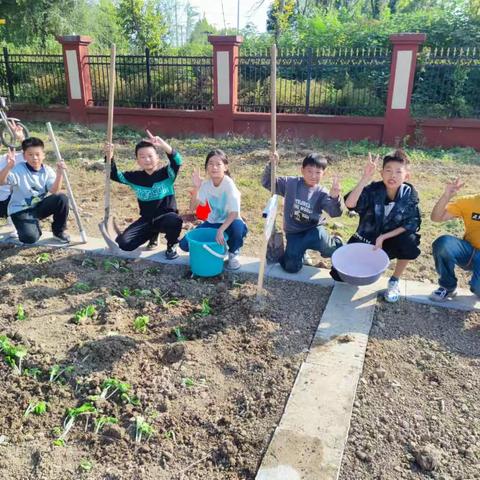 走进劳动基地，感受劳动之美 ——虹城街道白庙小学劳动教育实践活动