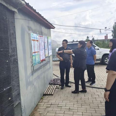 自治区呼伦贝尔两级督导组深入扎兰屯督查指导豇豆农药残留突出问题治理