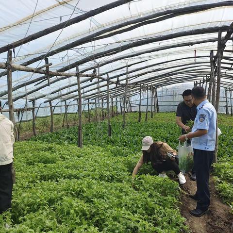 扎兰屯市积极开展农畜产品质量安全宣传检查和检验检测抽检工作