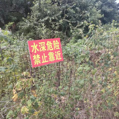 位伯镇开展“珍爱生命 预防溺水”宣传活动