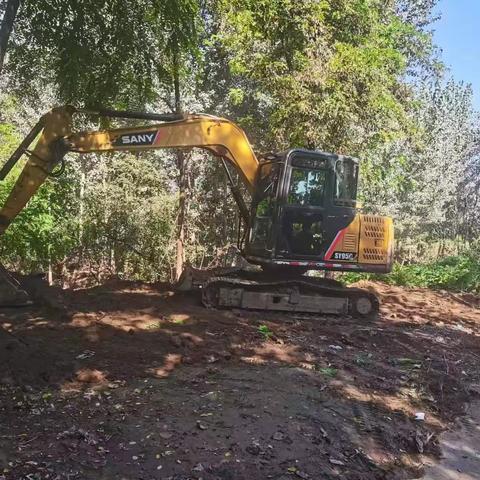 位伯镇“迎双节”清理河道沿岸垃圾