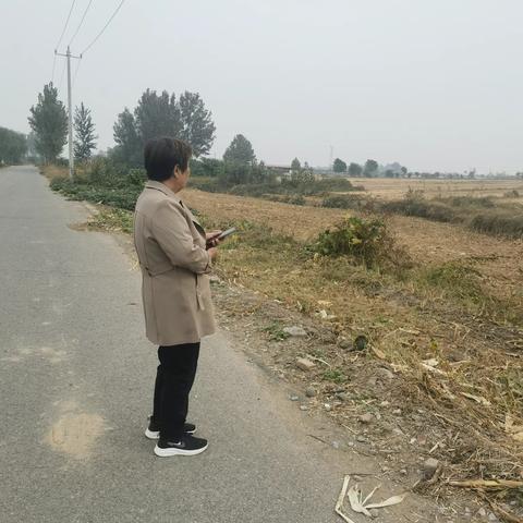 位伯镇各村开展常态化巡河，履职尽责做好河长制工作