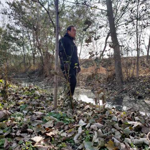 位伯镇各村开展常态化巡河，履职尽责做好河长制工作