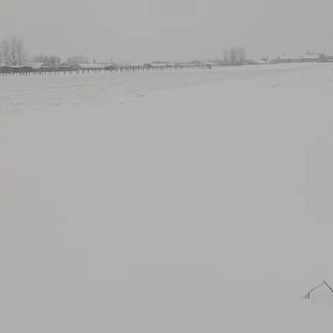 位伯镇各村冒雪开展常态化巡河，履职尽责做好河长制工作