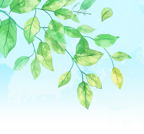 星辰幼儿园大大班安全——《小井盖，大危险》