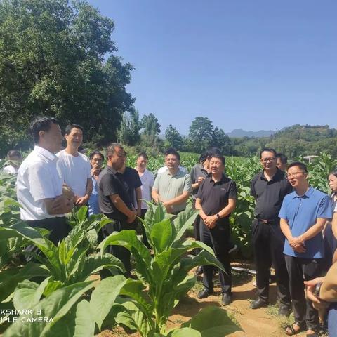 眉县乡村振兴驻村干部集中轮训班深入天成镇观摩乡村振兴工作