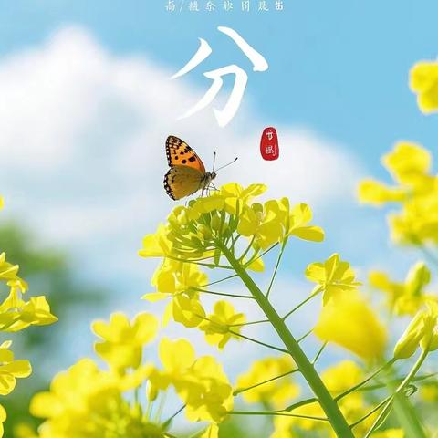 [食育课程]菠菜春饼——儿童村幼儿园二十四节气食育活动之“春分”