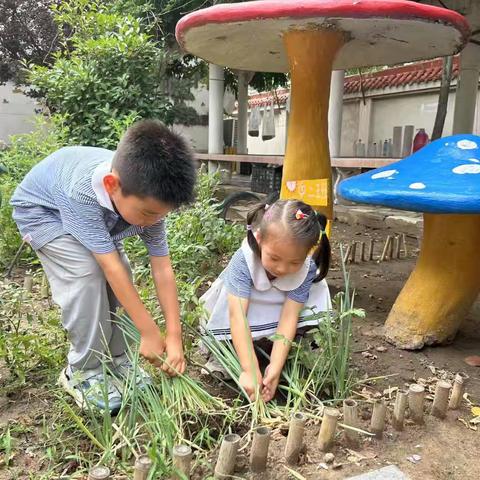 夏至食光——茄香裹面