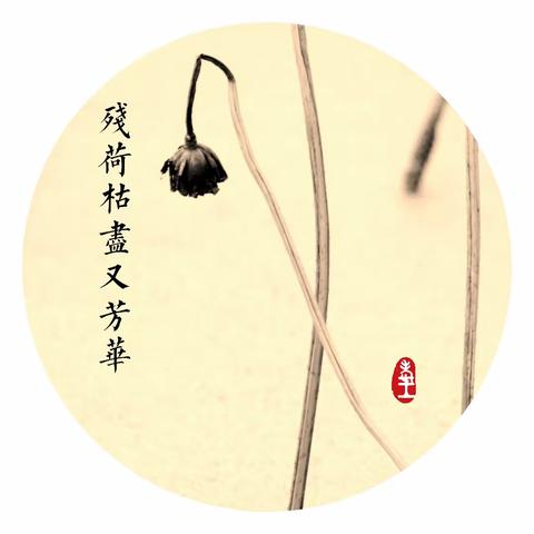 ”画“扇面