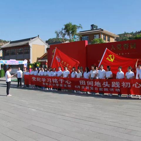 【党纪学习铭于心    田间地头践初心】——袁家庄小学党支部6月主题党日实践活动