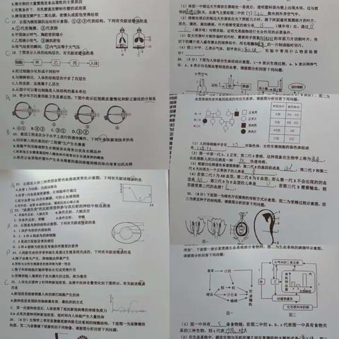 十班六组生物作业