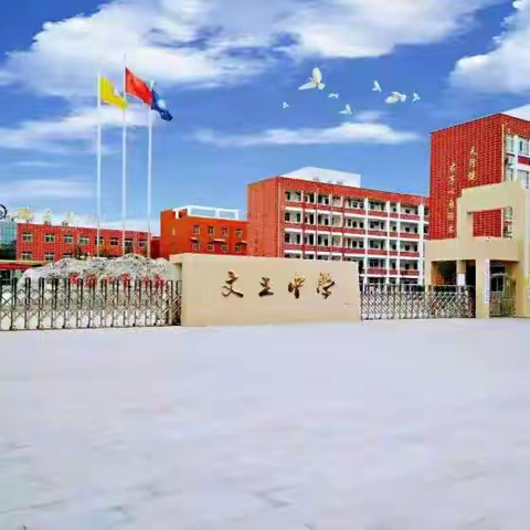 汤阴县文王中学7月份开展“文明交通 安全出行”志愿服务活动总结