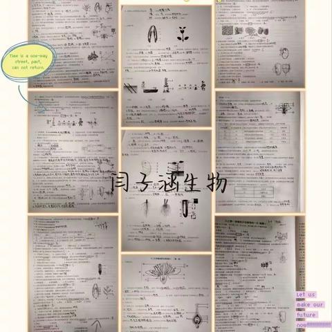 国庆节6组生物作业点评