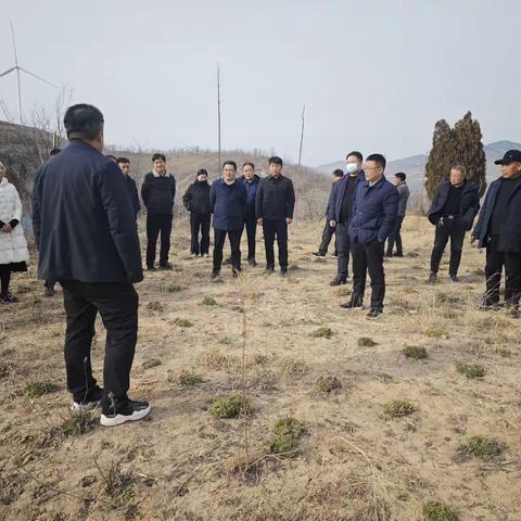 黄道镇：观摩学习阔眼界  凝心聚力促发展