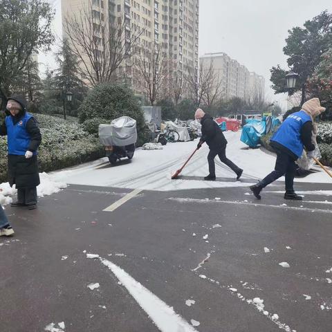 【党建赋能  为民办事】扫雪除冰在行动，青年担当我先行——珑岸社区党支部联合团支部开展扫雪活动