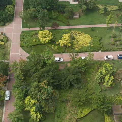 大学城A区7月份第三周工作简报