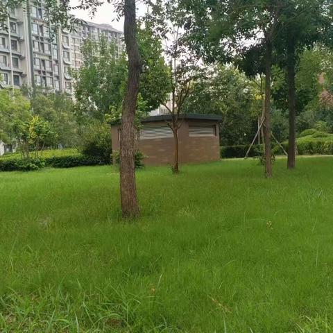 大学城A区第四周工作简报