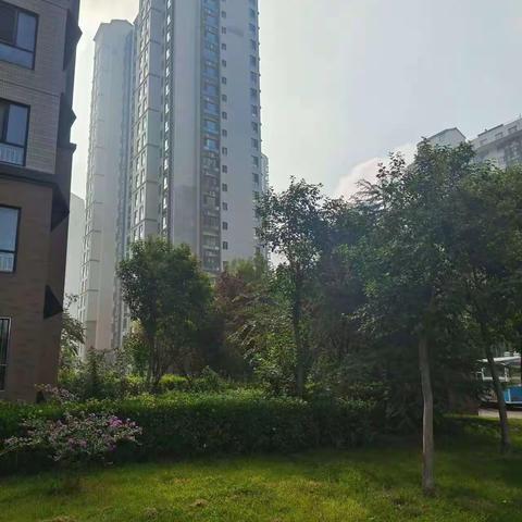 大学城A区8月份第四周工作周报