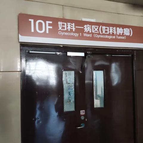 干在实处，暖在心田——妇一科(妇科肿瘤)护理实习生程浩